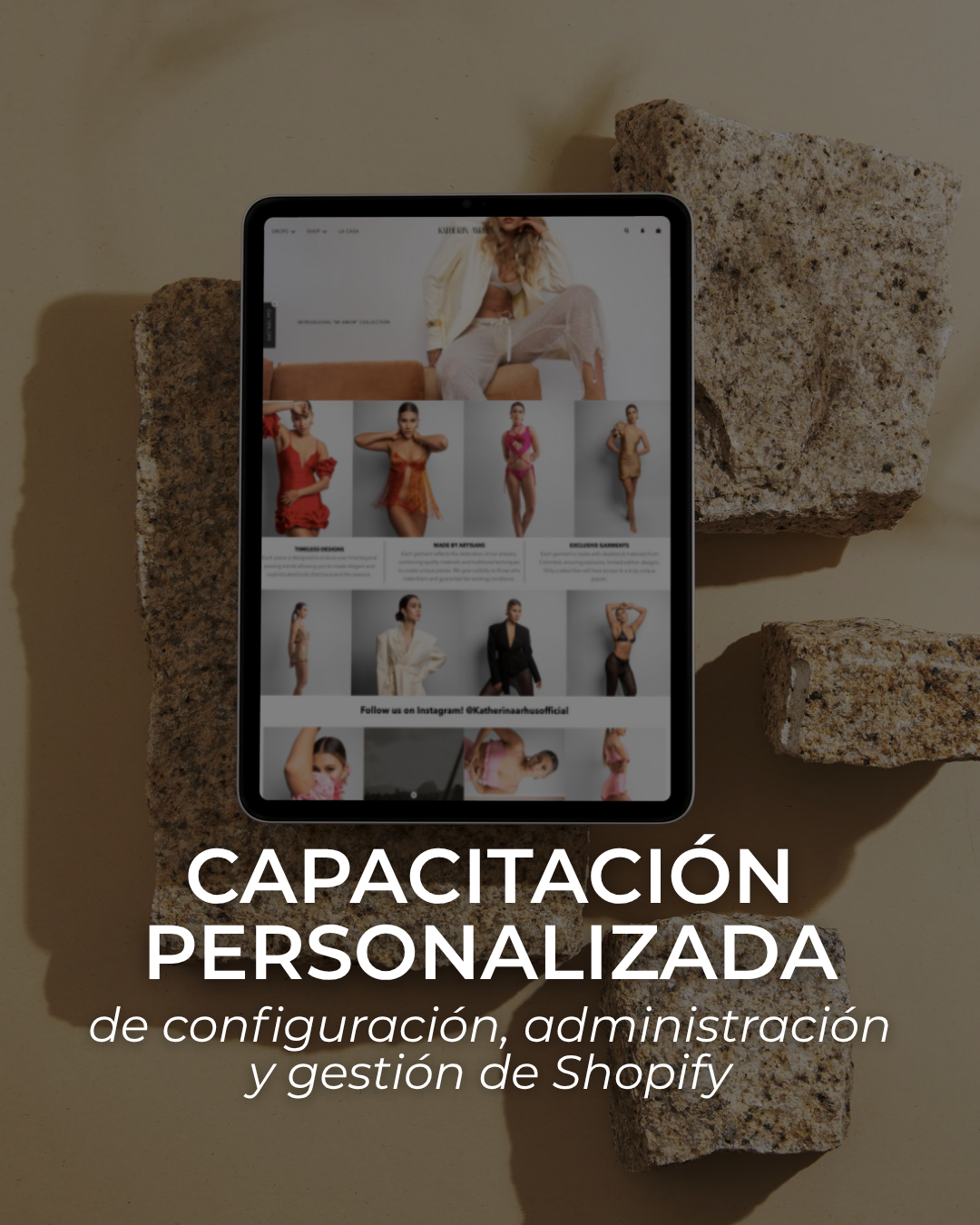 Capacitación Personalizada de Configuración, Administración y Gestión de Shopify