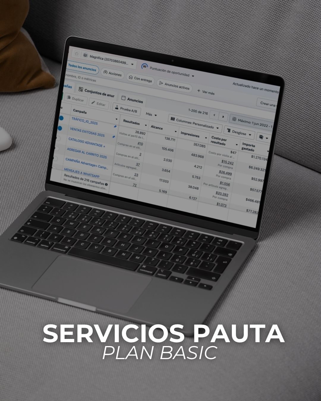 Servicios Pauta | PLAN BASIC